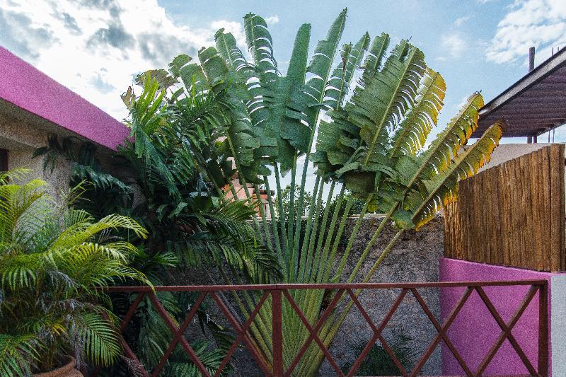 Art 57 Hotel - Adults Only Mérida Εξωτερικό φωτογραφία